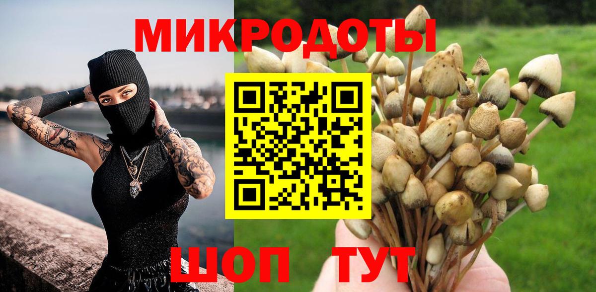 Борзя  Галлюциногенные грибы ЛСД  купить наркотик  Вход с VPN 