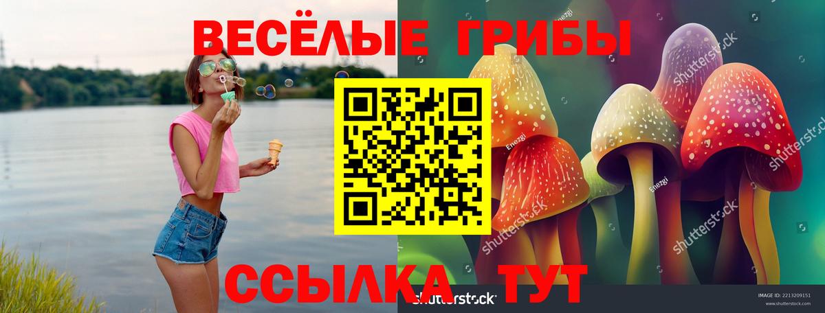 Псилоцибиновые грибы Psilocybine cubensis Борзя